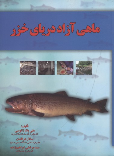 ماهی آزاد دریای خزر